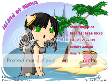 User Image